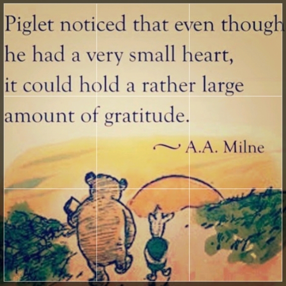 National Audubon Society Field Guide to North American Birds : Eastern Region EC - Picture 9 of 16